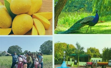 Contact: +91 9689125047 | Anand Krushi Paryatan | One Day Trip Near ...