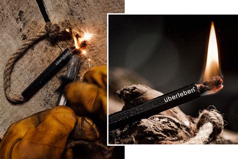 Survival 的图像结果