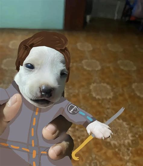 Image result for BoneLab Dog Mod