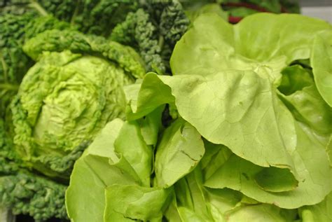 Community Supported Agriculture 的图像结果