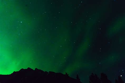 Seeing Northern Lights (Aurora Borealis) in Banff - Elite Jetsetter