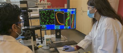 Network Research Unit 的图像结果