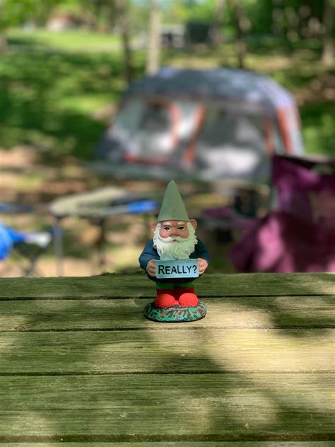 Versailles State Park Campground | Versailles, IN