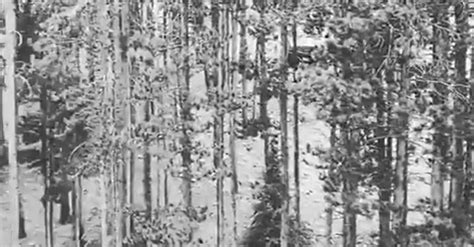 Snow slams Colorado, West day after record breaking heat | FOX 5 Atlanta