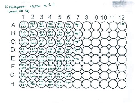 Printable 96 Well Plate Template