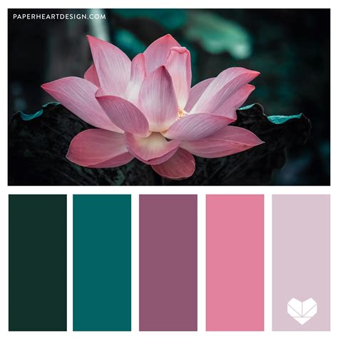 Explore Vibrant Color Palettes for Stunning Designs