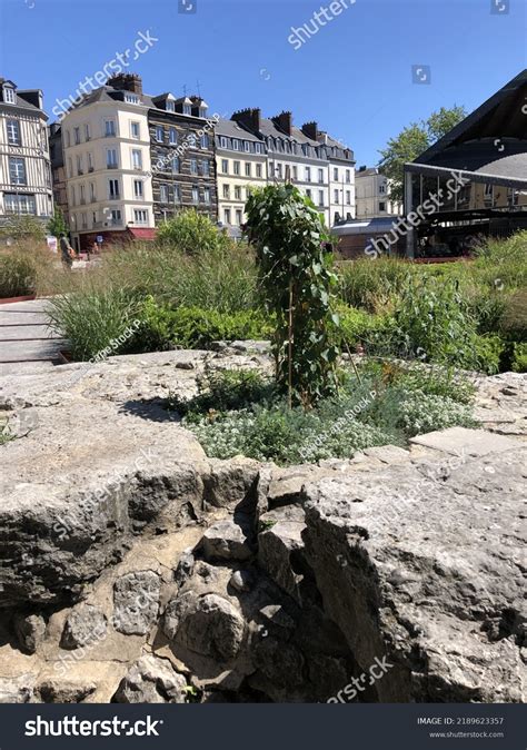 3,120 Burned Stake Images, Stock Photos & Vectors | Shutterstock