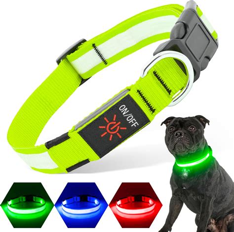 Best Light Up Dog Collars at Hudson Dyett blog