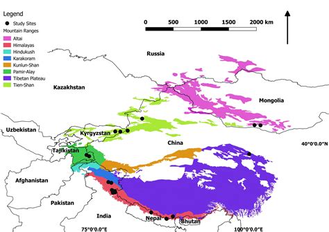 New Research: Most Snow Leopard Population Studies Are Biased - Snow Leopard Trust