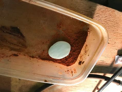 Image result for Segmented Bowl Tutorial