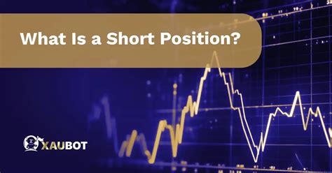 Short Positions Explained 的图像结果