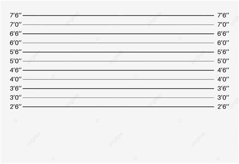 Lineup Police Line Up Vector Mugshot Template Identification Crime ...