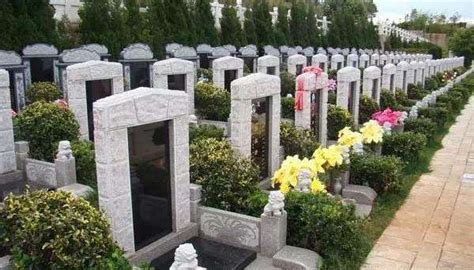 深度解析！在中国，买一块墓地到底有多难？|福寿园|墓地|公墓_新浪新闻