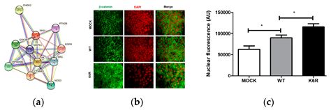 The CK2/ECE1c Partnership: An Unveiled Pathway to Aggressiveness in Cancer