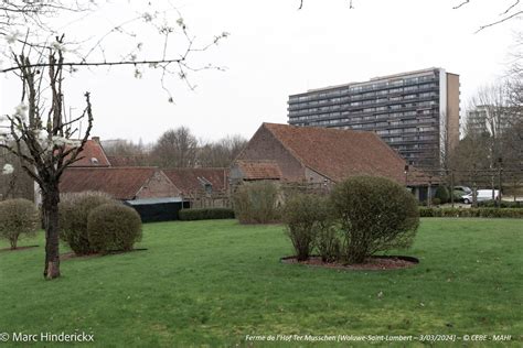 Hof ter Musschen : Visite spéciale – Hof ter Musschen et environs ...