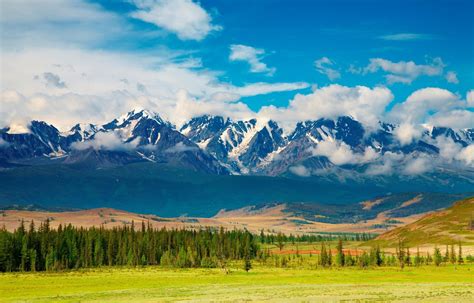 West Siberian Plain In Russia
