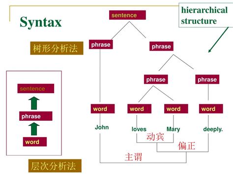 Image result for Syntax Examples in Linguistics