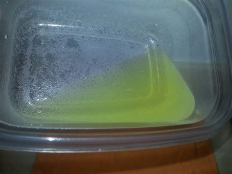 Is Bleach And Cat Urine Toxic at Asha Vang blog