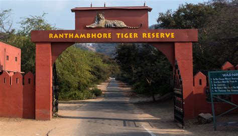 8 Interesting Facts About Ranthambore National Park That Will Blow Your ...