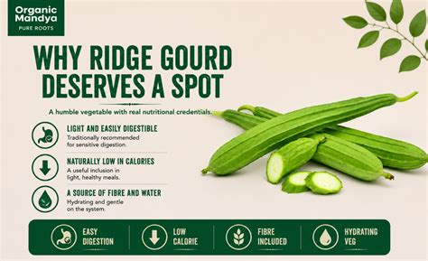 Ridge Gourd (Heerekai / Turai) Organic | Organic Mandya