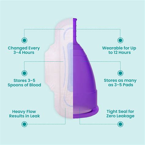 Beginner Kit – Femisafe.in