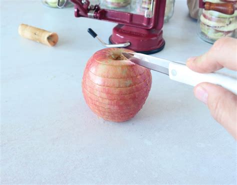 How To Freeze Dry Apples At Home -6 Tips For Success - Hollis Homestead