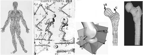 El papel de la biomecánica en el desempeño