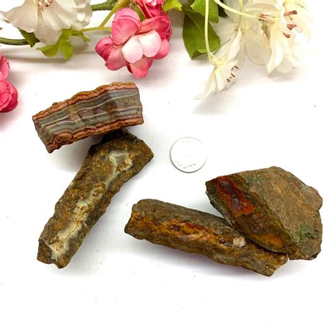 Seam Agate Rough for Stamina and Stability Buy Crystals Online