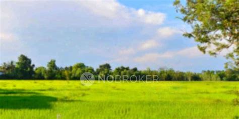 Residential Plots/ Lands For Sale in Navi Mumbai Mumbai | 229+ Plots ...