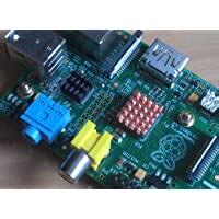 Amazon.in: Buy Cosmos ® 8 PCS Copper VGA RAM Cooling Heatsinks Cooler ...