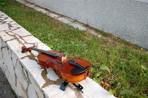 Image result for Viola String Instrument