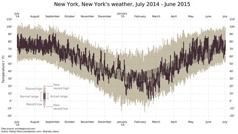 Albert Sun New York Times at Travis Munoz blog