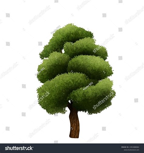 Image result for Simetric Tree Cartoon