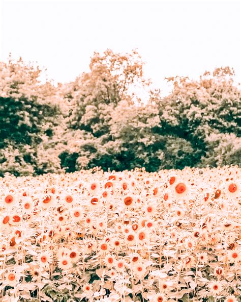 73 Date Ideas in Milwaukee: Romantic Things To Do in Milwaukee