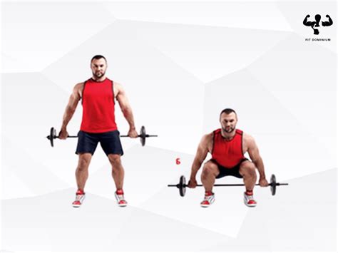 Barbell Hack Squat: How To & Benefits | FitDominium