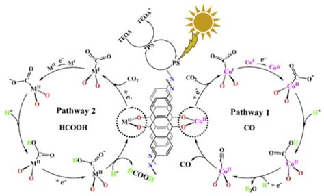 Rational Design and Application of Covalent Organic Frameworks for ...