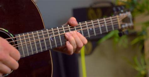 Image result for String Bounce Guitar Form