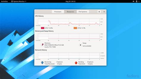 Image result for Linux Mint RAM Usage