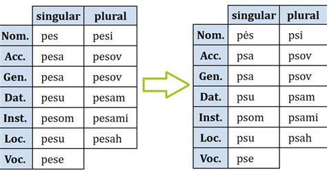 Spis izměnjenyh form (dodane ė i ȯ) — Teletype