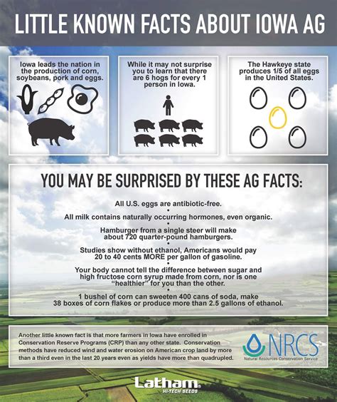 Fun facts about Iowa! | Lautner Farms