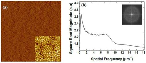 Spin Coating of Silica Nanocolloids on Mica: Self-Assembly of Two ...