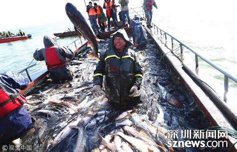 出海的·打鱼的·垂钓的——昌黎县大浦河入海处实拍-中关村在线摄影论坛