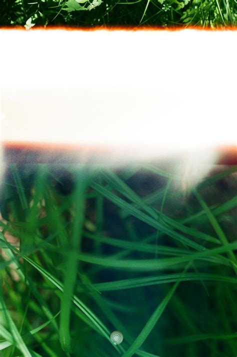 Image result for Header Background Image