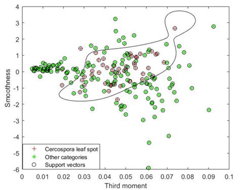 Image result for Classification Using Support Vector Machine Image