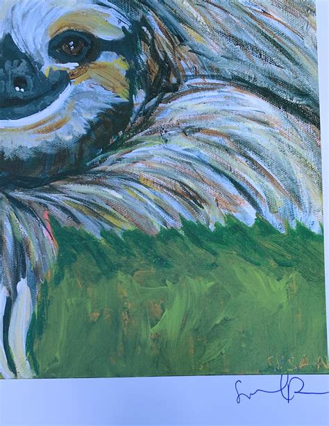 Image result for Silly Sloth