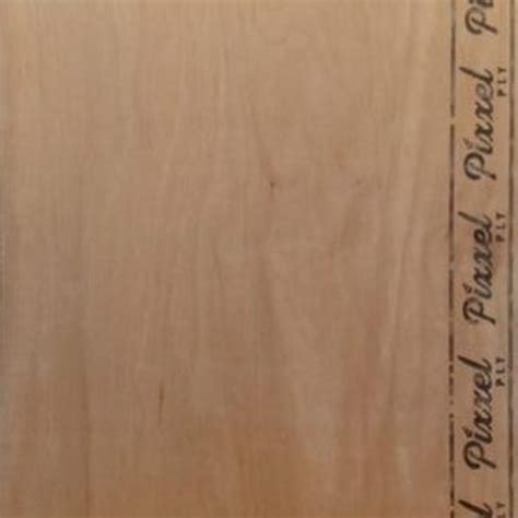 Trueliving_Pixxel Silver MR Grade 8 ft x 4 ft Plywood - 12 mm_Plywood ...