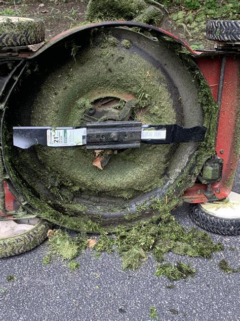 Is this blade on right or upside down? : r/lawnmowers