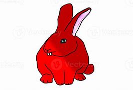 Image result for Bunny Rabbit to Color