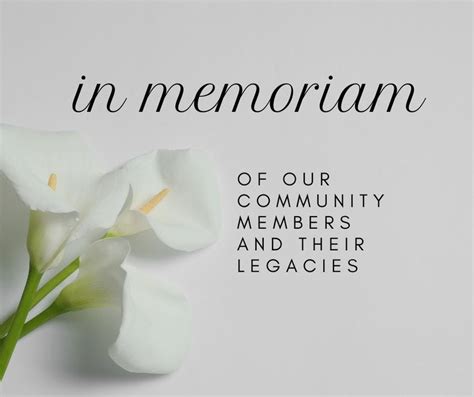 Observer Dispatch 的图像结果