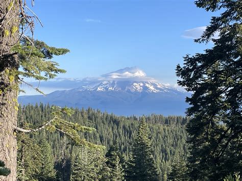 PCT week 8: Fire season begins - The Trek